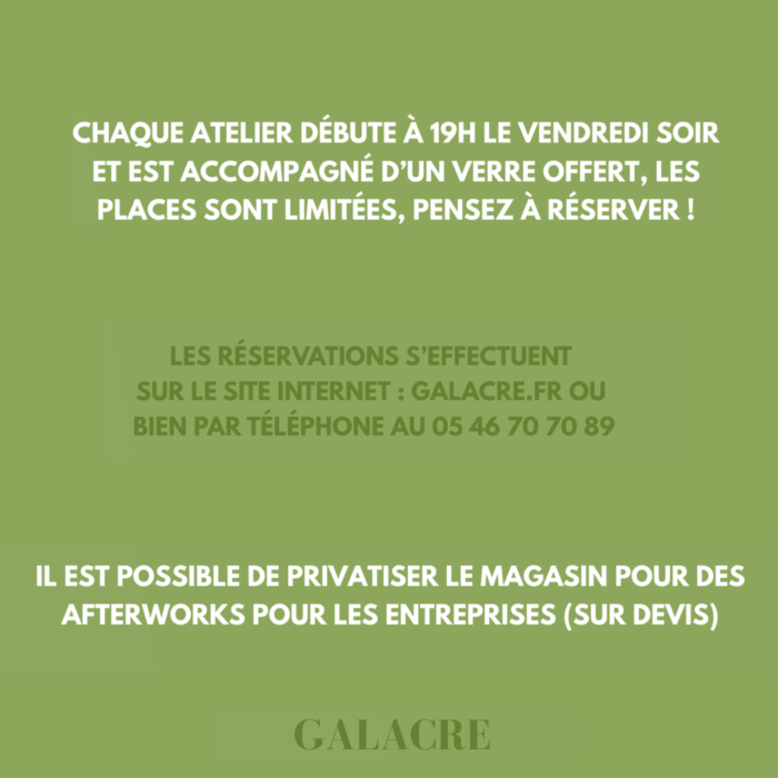 Atelier - Composition fleurs et fruits – Image 2